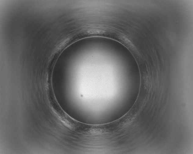 X0000063480490200601201247