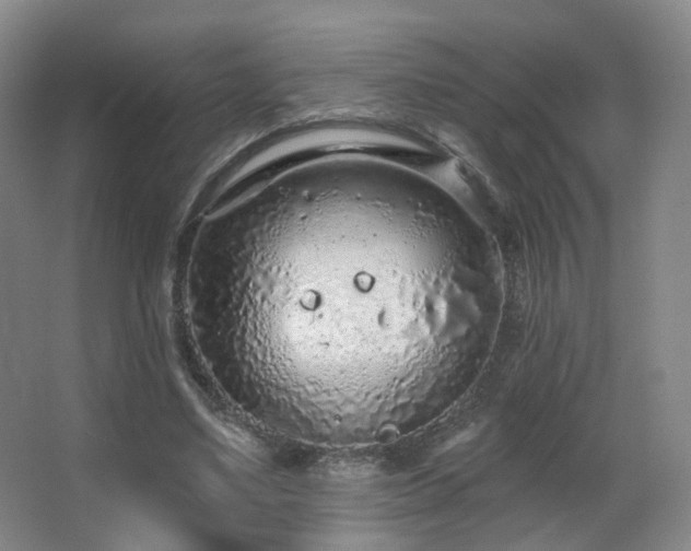 X0000063480491200601201247