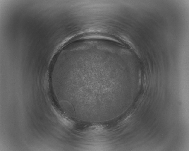 X0000063480492200601201247