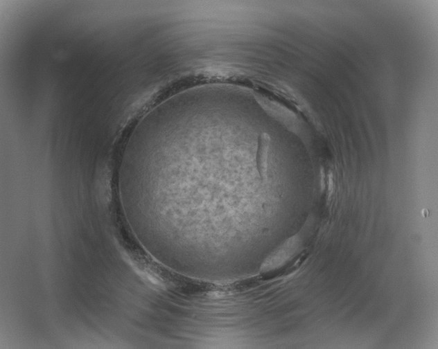 X0000063480496200601201247