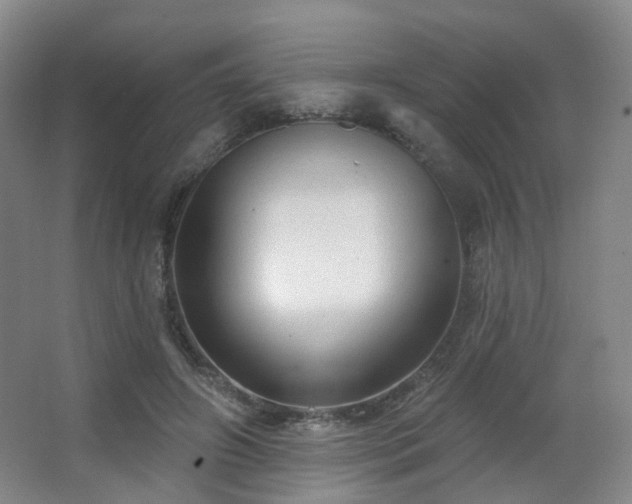 X0000063480498200601201247