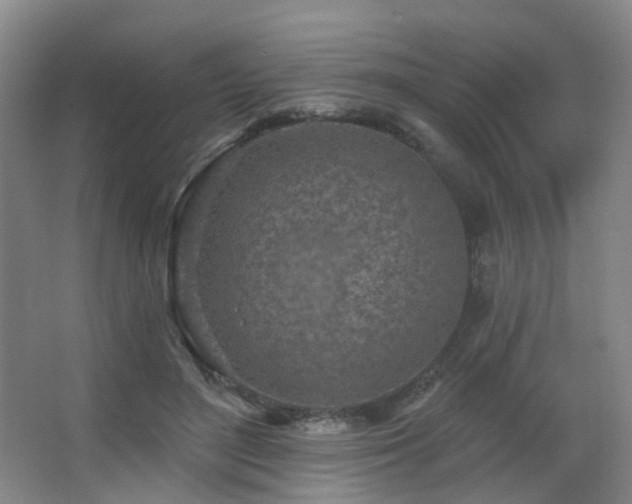 X0000063480500200601201247