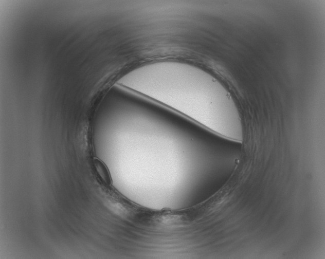 X0000063480501200601201247