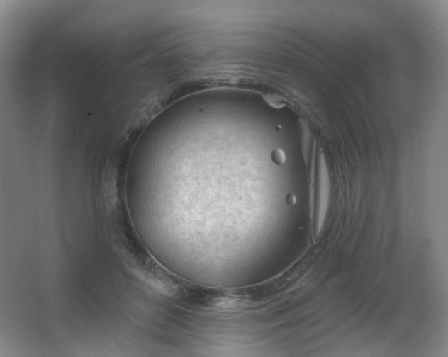 X0000063480504200601201247