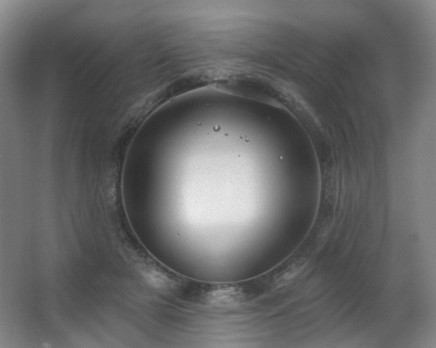 X0000063480505200601201247