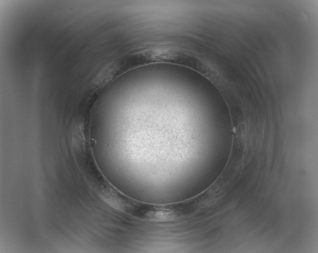 X0000063480506200601201247