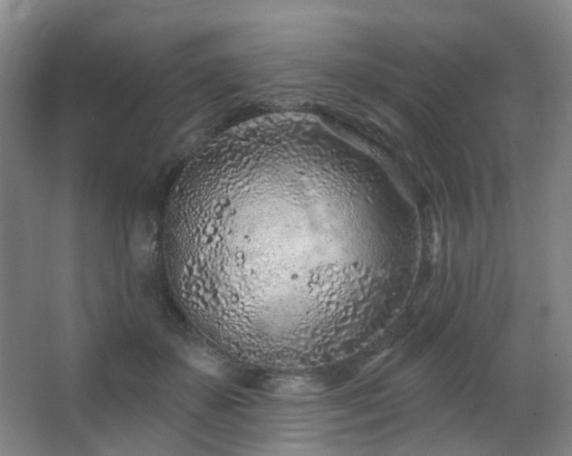 X0000063480507200601201247