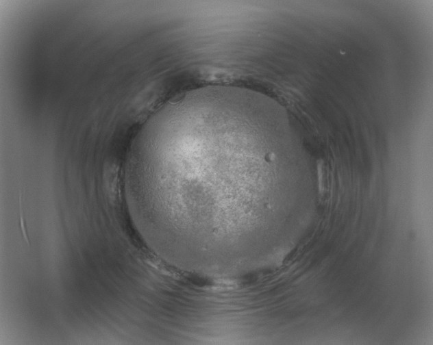 X0000063480511200601201247