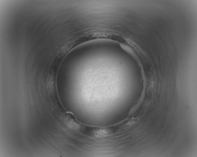 X0000063480513200601201247