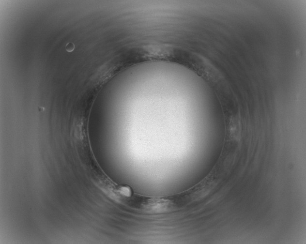 X0000063480514200601201247