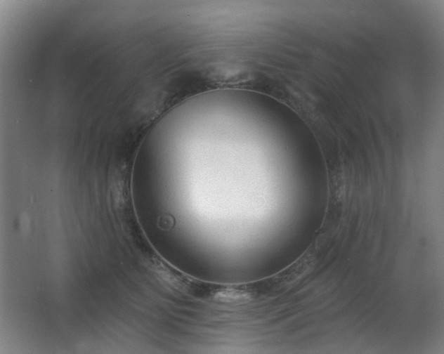 X0000063480515200601201247