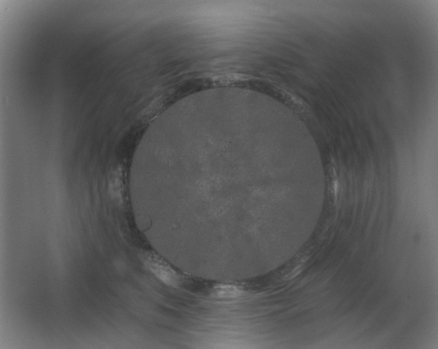 X0000063480519200601201247