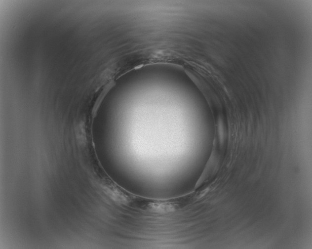 X0000063480520200601201247