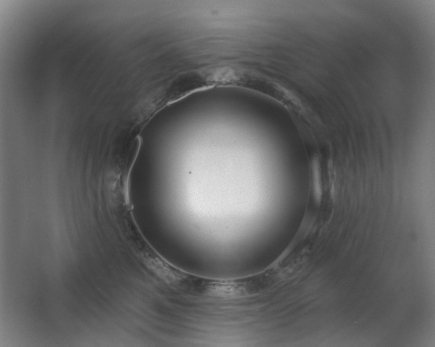 X0000063480521200601201247