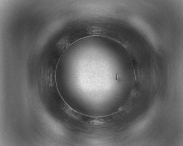 X0000063480525200601201246