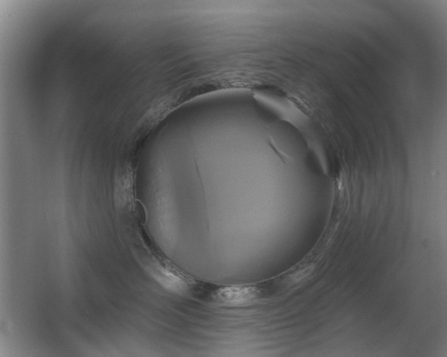 X0000063480526200601201246