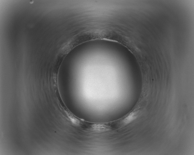 X0000063480528200601201246