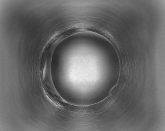 X0000063480530200601201246