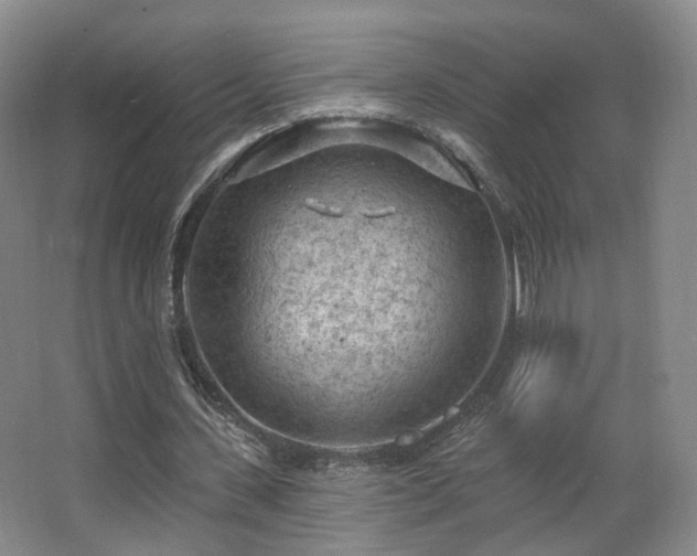 X0000063480531200601201246