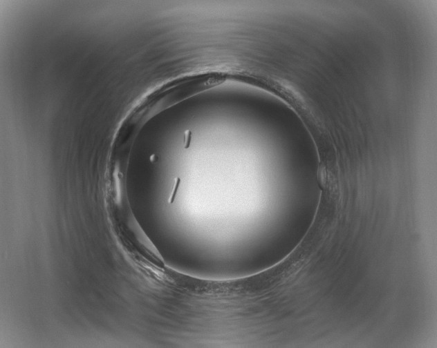 X0000063480532200601201246