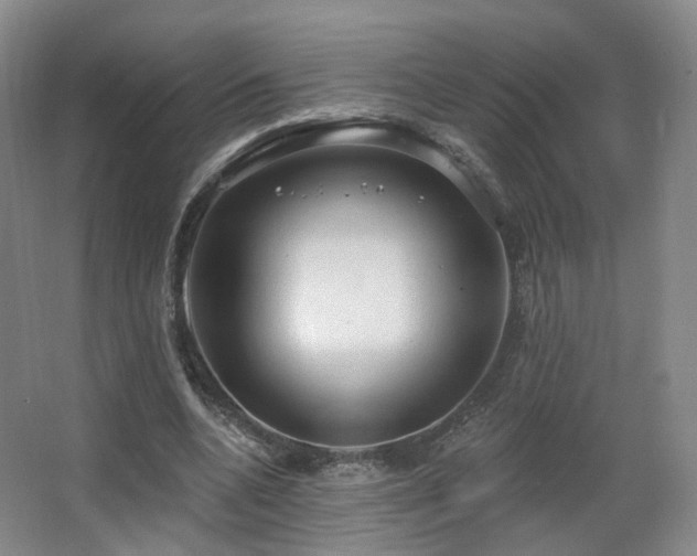 X0000063480536200601201246