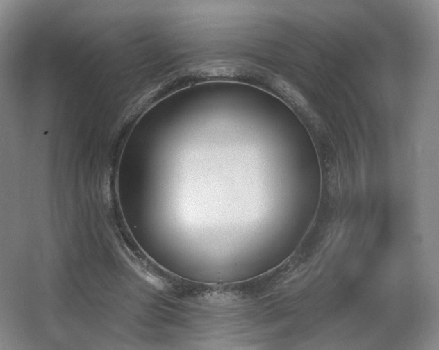 X0000063480537200601201246