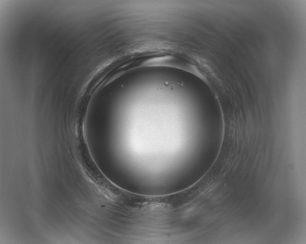 X0000063480539200601201246