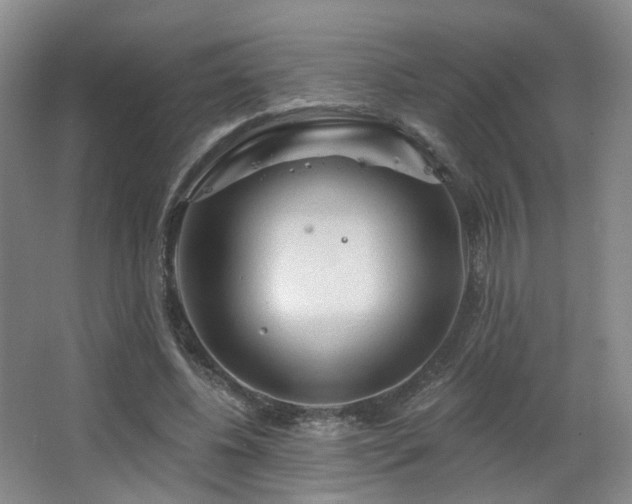 X0000063480540200601201246