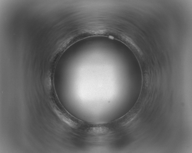 X0000063480541200601201246