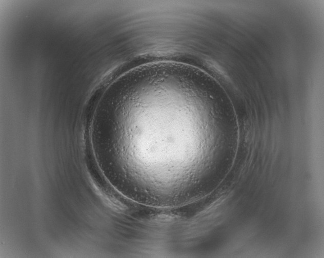 X0000063480542200601201246