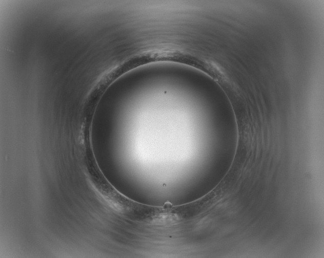 X0000063480543200601201246