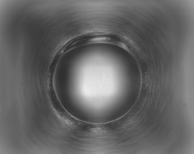 X0000063480544200601201246