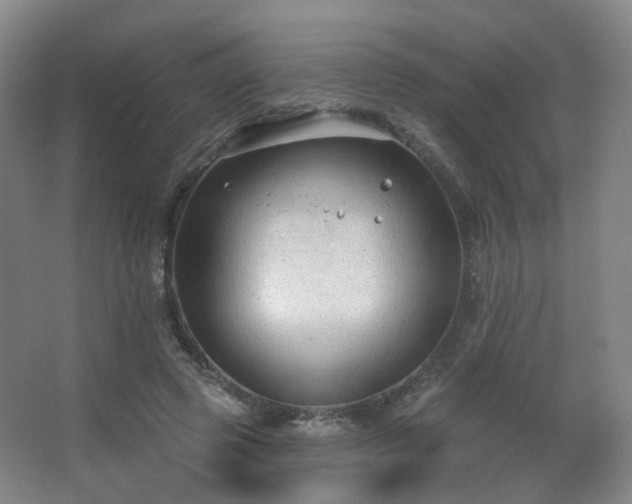 X0000063480545200601201246