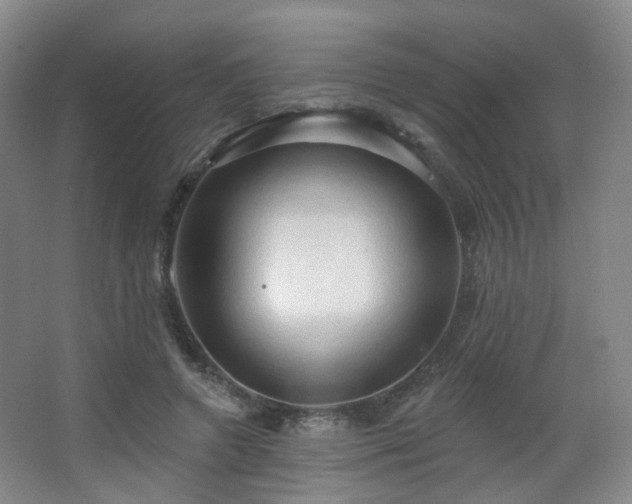 X0000063480546200601201246