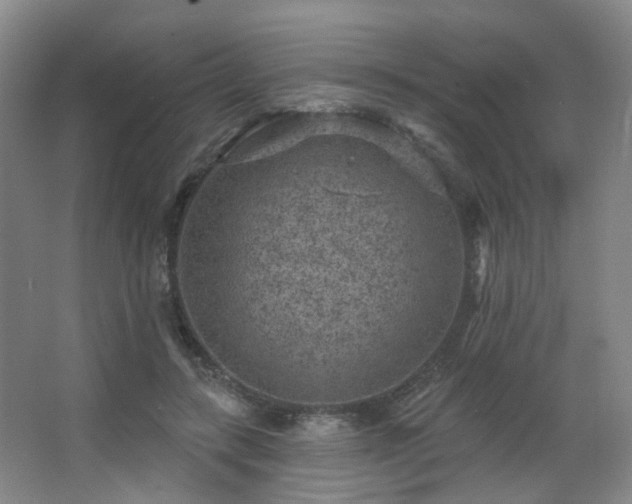 X0000063480547200601201246