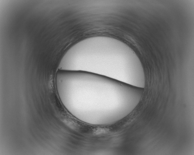 X0000063480549200601201246