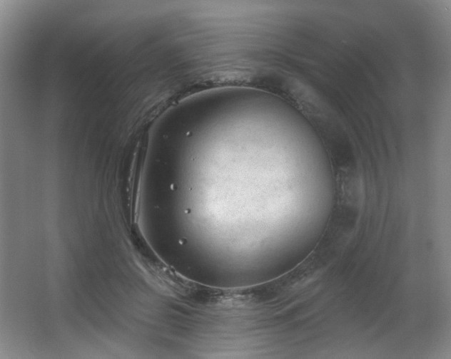 X0000063480550200601201246