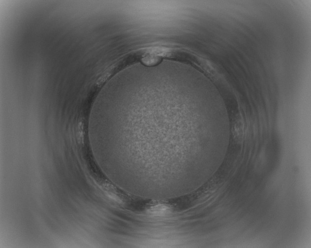 X0000063480551200601201246