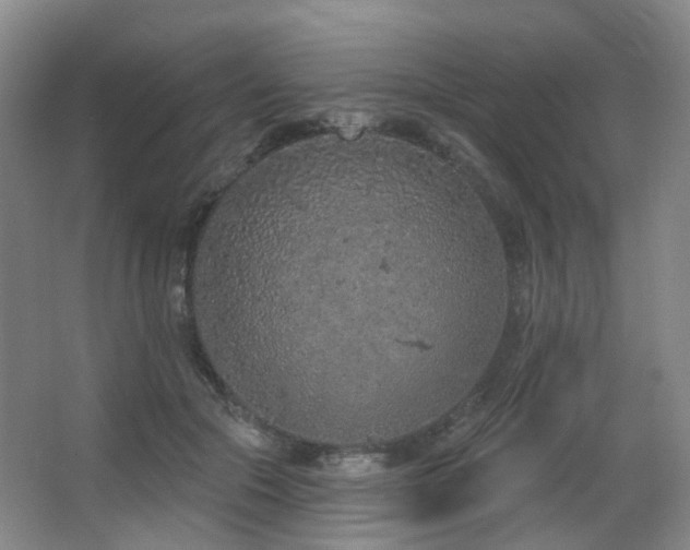 X0000063480553200601201246