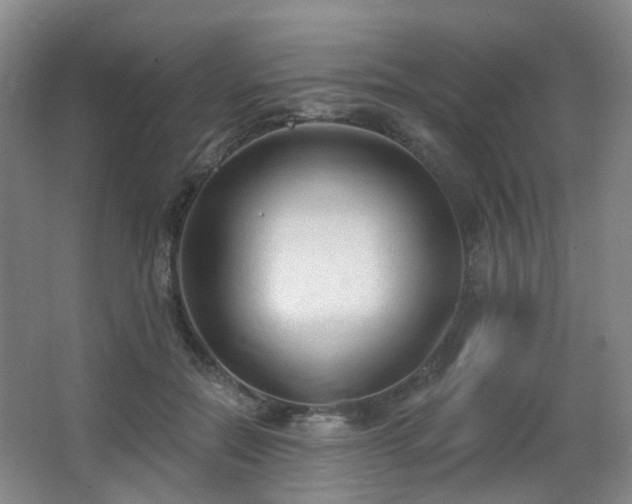 X0000063480554200601201246