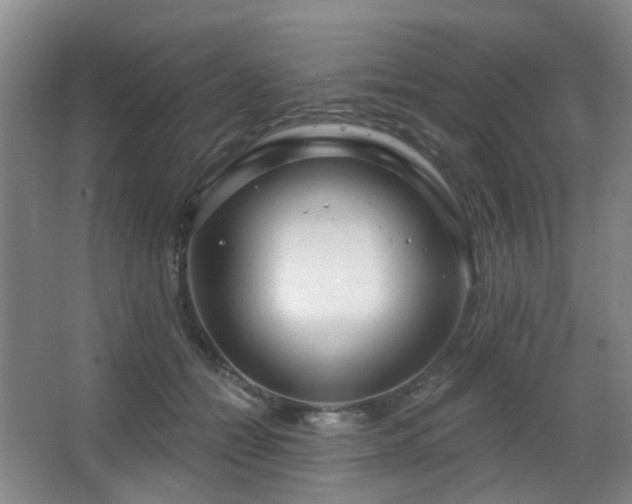 X0000063480558200601201246