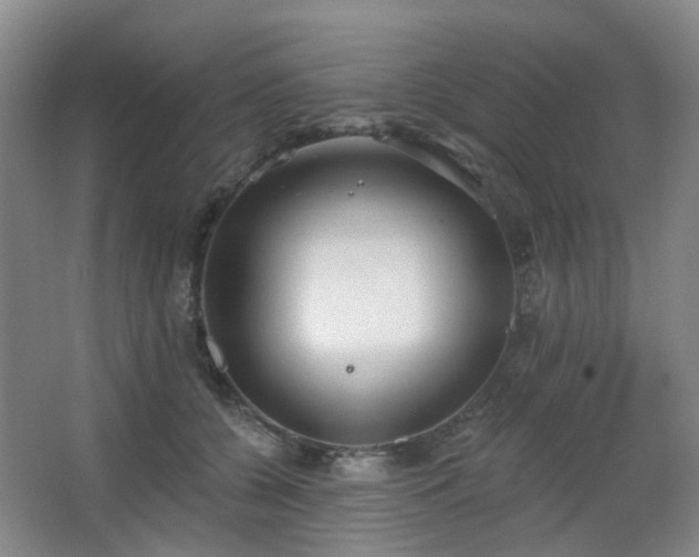 X0000063480560200601201246