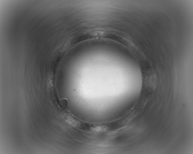 X0000063480561200601201246