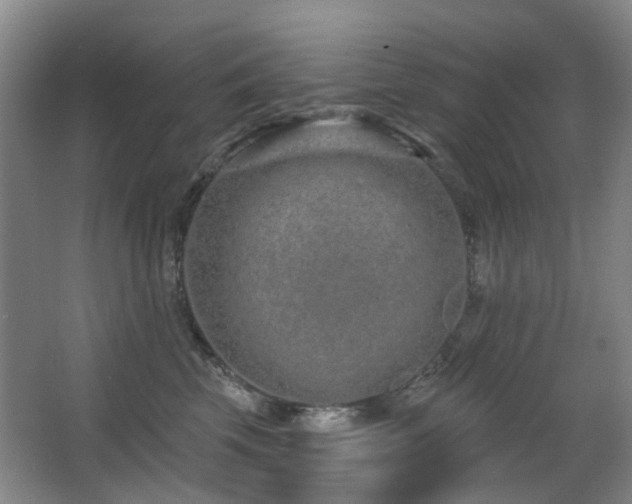 X0000063480569200601201246