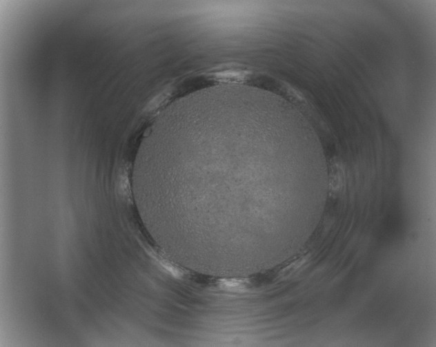 X0000063480573200601201246