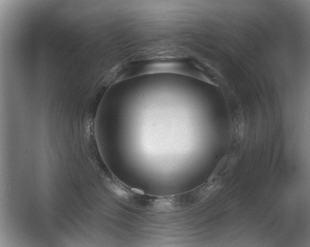 X0000063480574200601201246