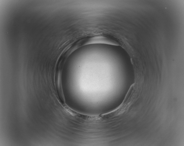 X0000063480576200601201246