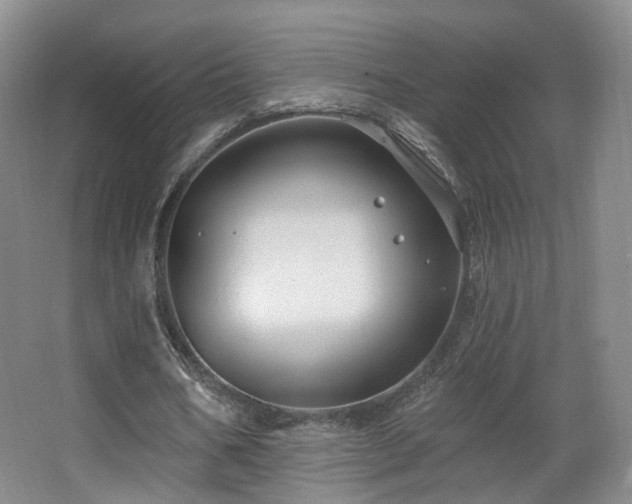 X0000063480578200601201246