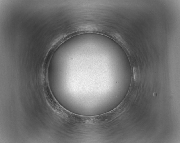 X0000063480579200601201246