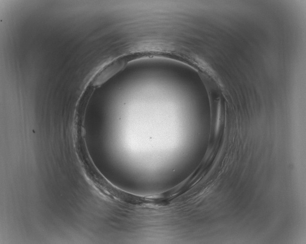 X0000063480580200601201246